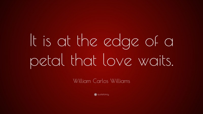 William Carlos Williams Quote: “It is at the edge of a petal that love waits.”
