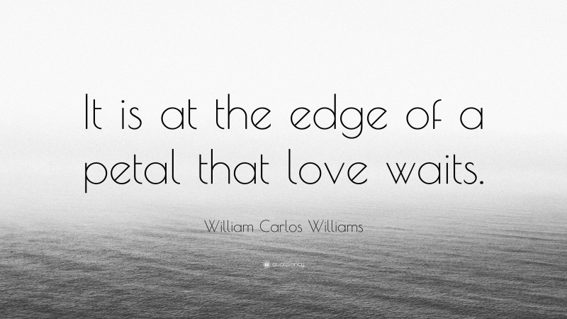 William Carlos Williams Quote: “It is at the edge of a petal that love waits.”