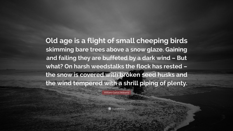 William Carlos Williams Quote: “Old age is a flight of small cheeping birds skimming bare trees above a snow glaze. Gaining and failing they are buffeted by a dark wind – But what? On harsh weedstalks the flock has rested – the snow is covered with broken seed husks and the wind tempered with a shrill piping of plenty.”