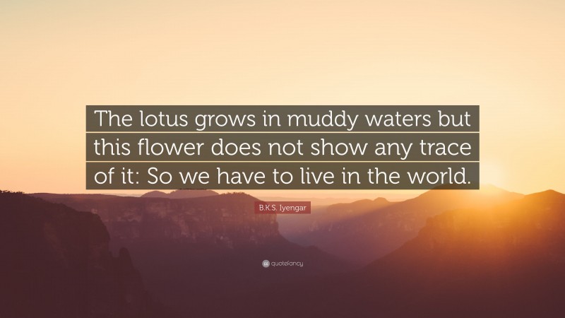 B.K.S. Iyengar Quote: “The lotus grows in muddy waters but this flower does not show any trace of it: So we have to live in the world.”