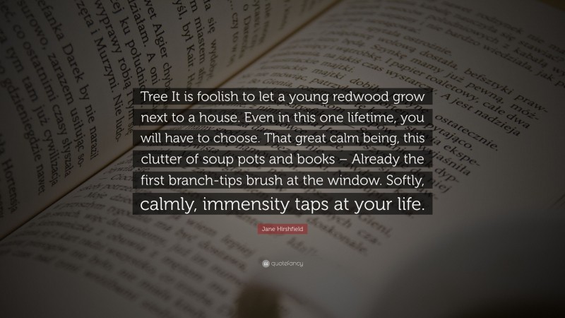 Jane Hirshfield Quote: “Tree It is foolish to let a young redwood grow next to a house. Even in this one lifetime, you will have to choose. That great calm being, this clutter of soup pots and books – Already the first branch-tips brush at the window. Softly, calmly, immensity taps at your life.”