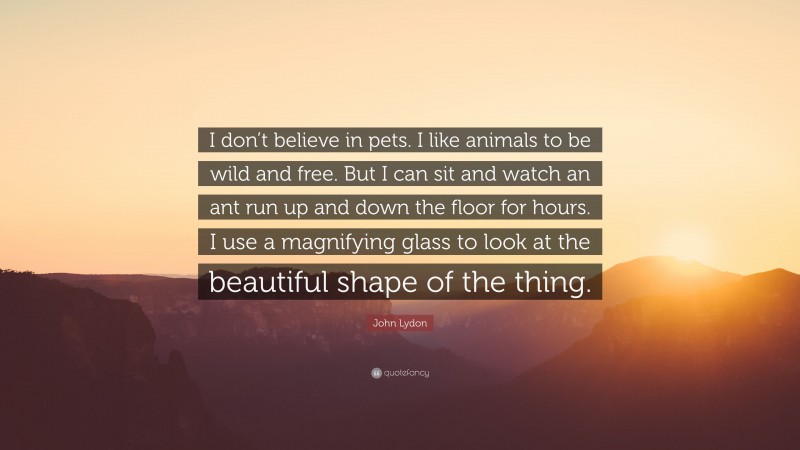 John Lydon Quote: “I don’t believe in pets. I like animals to be wild and free. But I can sit and watch an ant run up and down the floor for hours. I use a magnifying glass to look at the beautiful shape of the thing.”