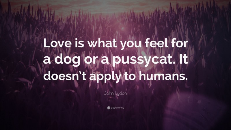 John Lydon Quote: “Love is what you feel for a dog or a pussycat. It doesn’t apply to humans.”