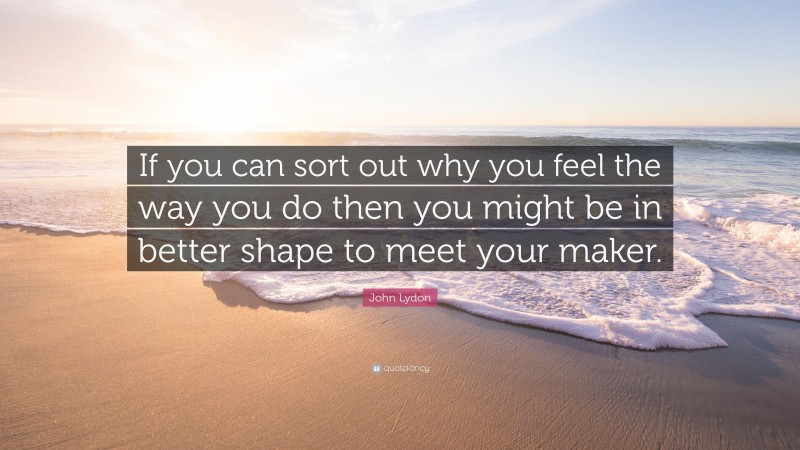 John Lydon Quote: “If you can sort out why you feel the way you do then you might be in better shape to meet your maker.”