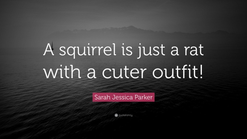 Sarah Jessica Parker Quote: “A squirrel is just a rat with a cuter outfit!”