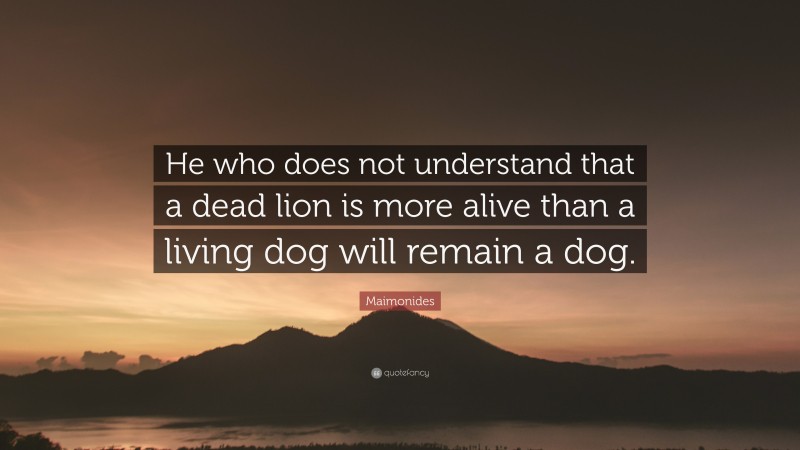 Maimonides Quote: “He who does not understand that a dead lion is more alive than a living dog will remain a dog.”