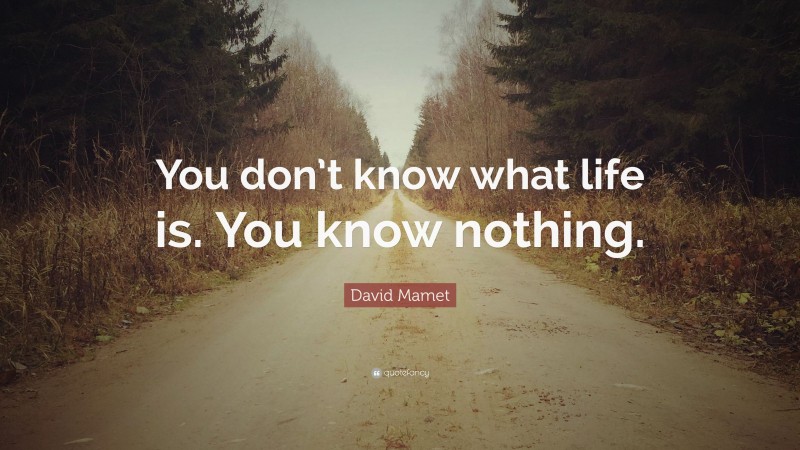 David Mamet Quote: “You don’t know what life is. You know nothing.”