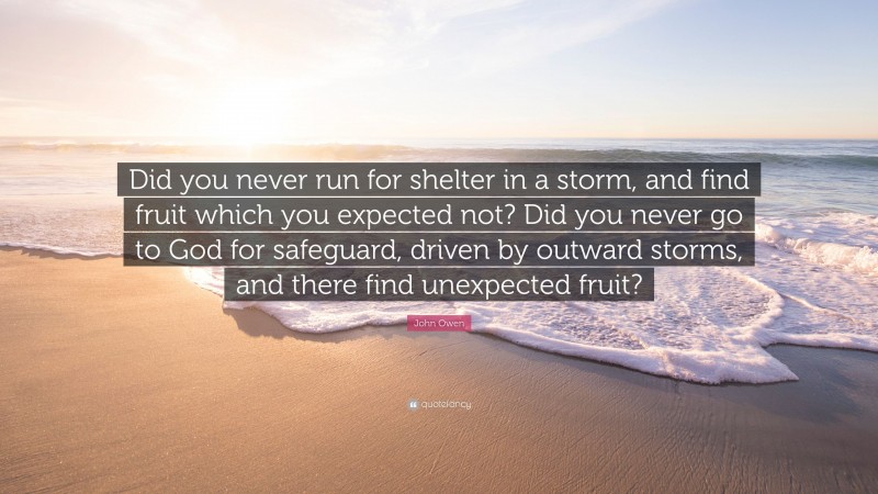 John Owen Quote: “Did you never run for shelter in a storm, and find fruit which you expected not? Did you never go to God for safeguard, driven by outward storms, and there find unexpected fruit?”