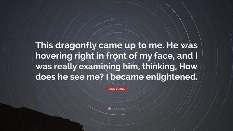 Ziggy Marley Quote: “This dragonfly came up to me. He was hovering right in front of my face, and I was really examining him, thinking, How does he see me? I became enlightened.”