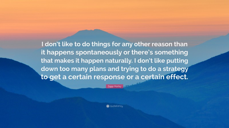 Ziggy Marley Quote: “I don’t like to do things for any other reason than it happens spontaneously or there’s something that makes it happen naturally. I don’t like putting down too many plans and trying to do a strategy to get a certain response or a certain effect.”