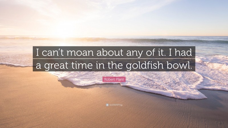 Robert Plant Quote: “I can’t moan about any of it. I had a great time in the goldfish bowl.”