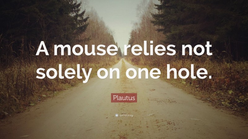 Plautus Quote: “A mouse relies not solely on one hole.”