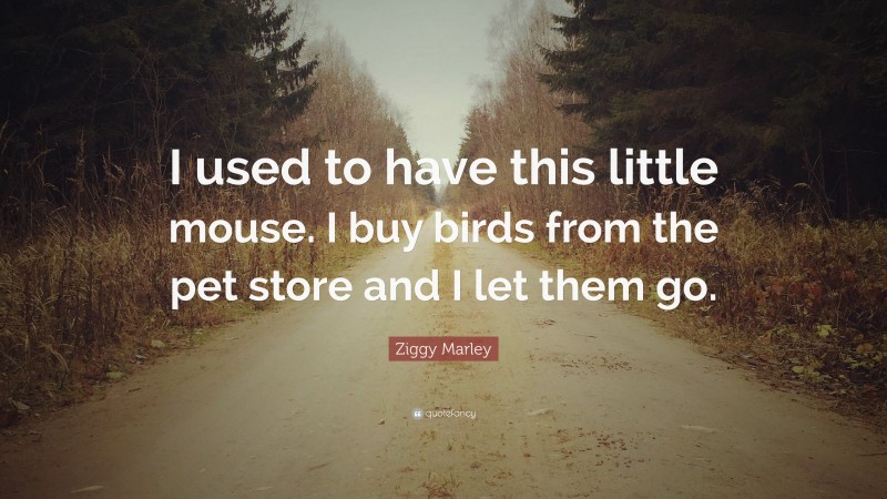Ziggy Marley Quote: “I used to have this little mouse. I buy birds from the pet store and I let them go.”