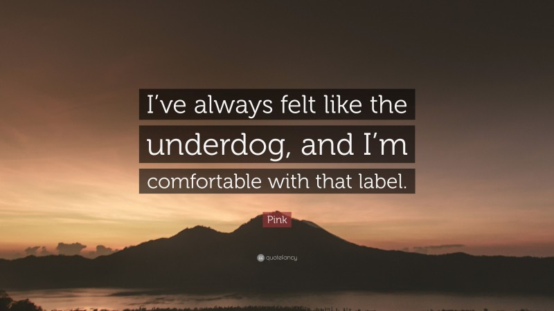Pink Quote: “I’ve always felt like the underdog, and I’m comfortable with that label.”