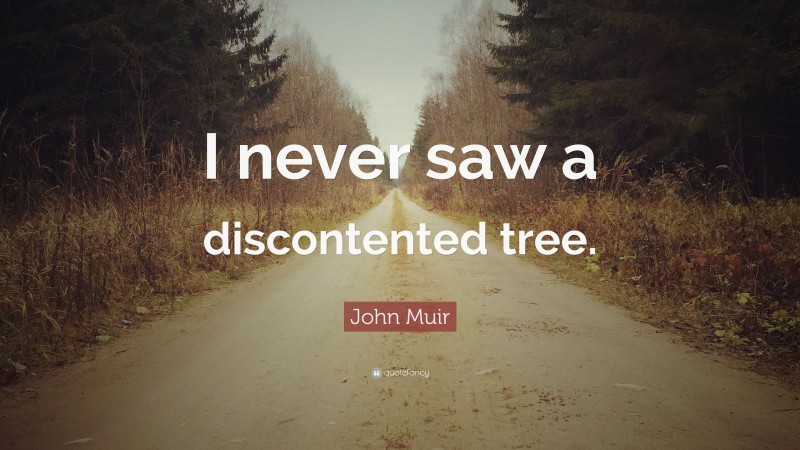 John Muir Quote: “I never saw a discontented tree.”