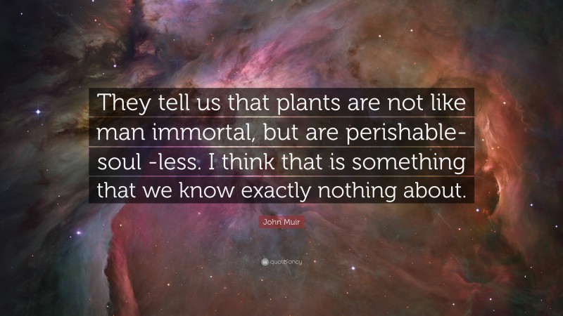 John Muir Quote: “They tell us that plants are not like man immortal, but are perishable-soul -less. I think that is something that we know exactly nothing about.”