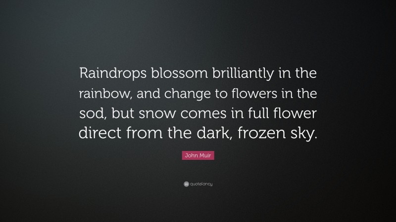 John Muir Quote: “Raindrops blossom brilliantly in the rainbow, and change to flowers in the sod, but snow comes in full flower direct from the dark, frozen sky.”