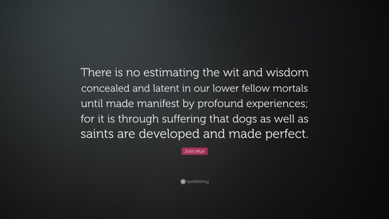 John Muir Quote: “There is no estimating the wit and wisdom concealed and latent in our lower fellow mortals until made manifest by profound experiences; for it is through suffering that dogs as well as saints are developed and made perfect.”