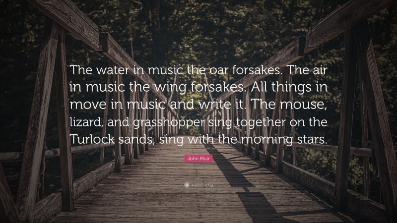 John Muir Quote: “The water in music the oar forsakes. The air in music the wing forsakes. All things in move in music and write it. The mouse, lizard, and grasshopper sing together on the Turlock sands, sing with the morning stars.”