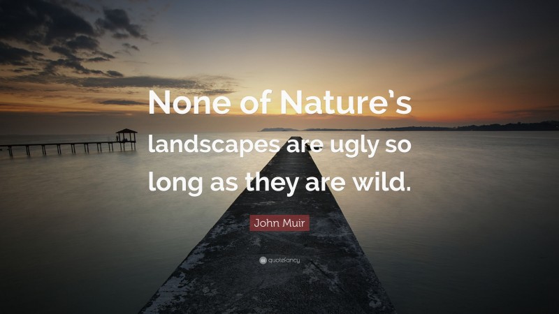 John Muir Quote: “None of Nature’s landscapes are ugly so long as they are wild.”