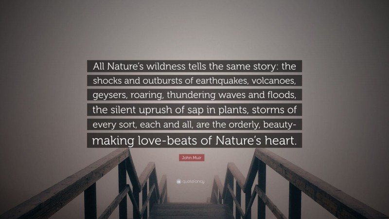 John Muir Quote: “All Nature’s wildness tells the same story: the shocks and outbursts of earthquakes, volcanoes, geysers, roaring, thundering waves and floods, the silent uprush of sap in plants, storms of every sort, each and all, are the orderly, beauty-making love-beats of Nature’s heart.”