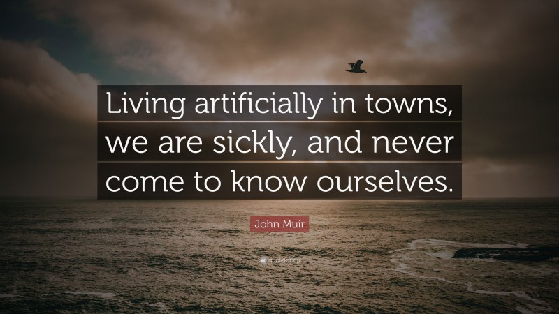 John Muir Quote: “Living artificially in towns, we are sickly, and never come to know ourselves.”