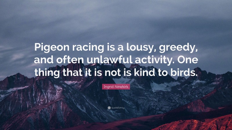 Ingrid Newkirk Quote: “Pigeon racing is a lousy, greedy, and often unlawful activity. One thing that it is not is kind to birds.”