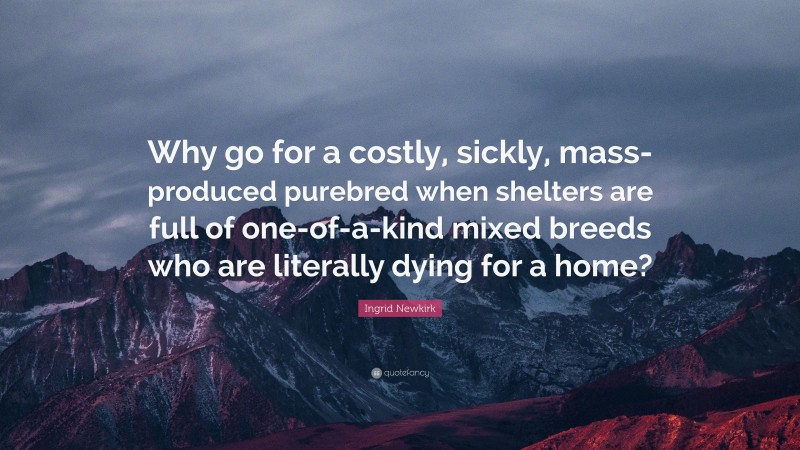 Ingrid Newkirk Quote: “Why go for a costly, sickly, mass-produced purebred when shelters are full of one-of-a-kind mixed breeds who are literally dying for a home?”