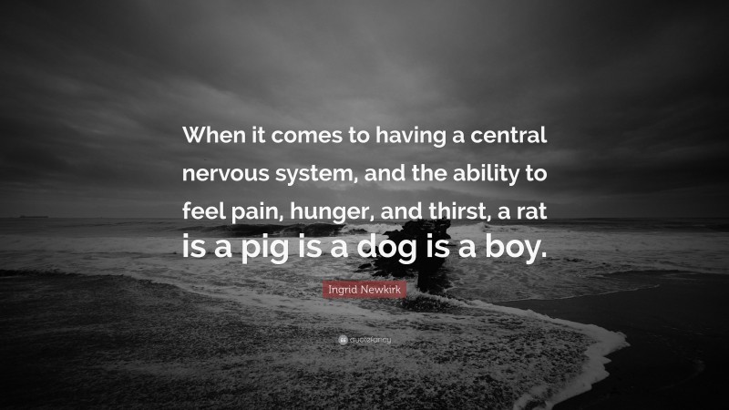 Ingrid Newkirk Quote: “When it comes to having a central nervous system, and the ability to feel pain, hunger, and thirst, a rat is a pig is a dog is a boy.”