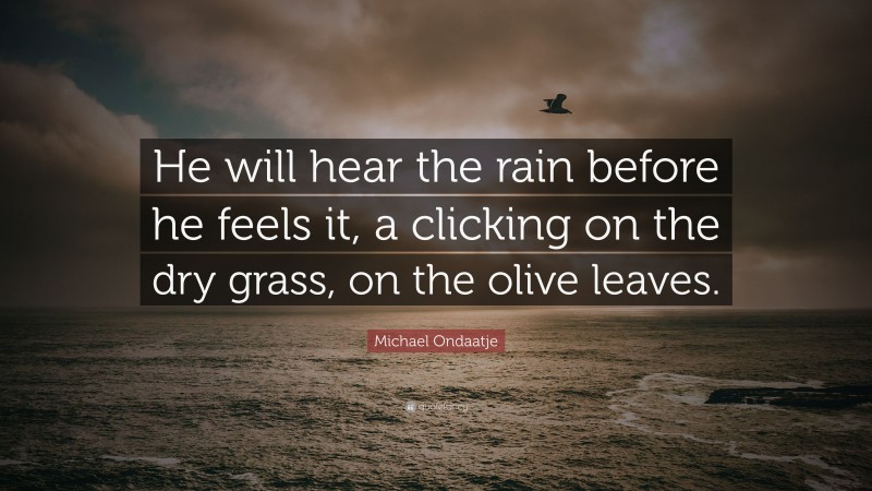 Michael Ondaatje Quote: “He will hear the rain before he feels it, a clicking on the dry grass, on the olive leaves.”