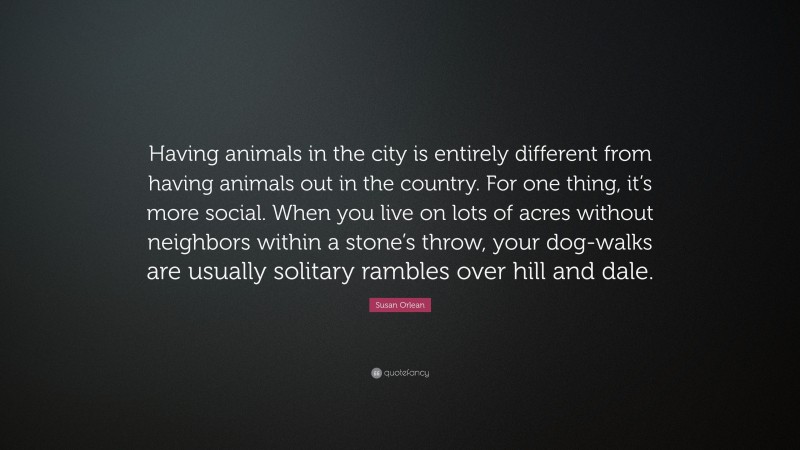 Susan Orlean Quote: “Having animals in the city is entirely different from having animals out in the country. For one thing, it’s more social. When you live on lots of acres without neighbors within a stone’s throw, your dog-walks are usually solitary rambles over hill and dale.”