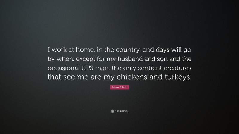 Susan Orlean Quote: “I work at home, in the country, and days will go by when, except for my husband and son and the occasional UPS man, the only sentient creatures that see me are my chickens and turkeys.”