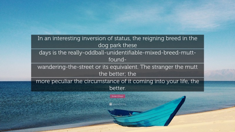 Susan Orlean Quote: “In an interesting inversion of status, the reigning breed in the dog park these days is the really-oddball-unidentifiable-mixed-breed-mutt-found-wandering-the-street or its equivalent. The stranger the mutt the better; the more peculiar the circumstance of it coming into your life, the better.”
