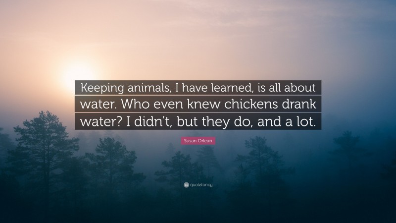 Susan Orlean Quote: “Keeping animals, I have learned, is all about water. Who even knew chickens drank water? I didn’t, but they do, and a lot.”