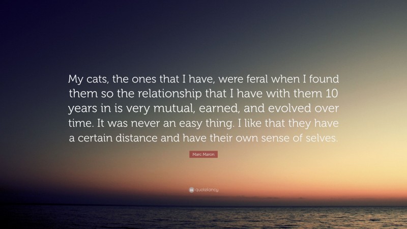 Marc Maron Quote: “My cats, the ones that I have, were feral when I found them so the relationship that I have with them 10 years in is very mutual, earned, and evolved over time. It was never an easy thing. I like that they have a certain distance and have their own sense of selves.”