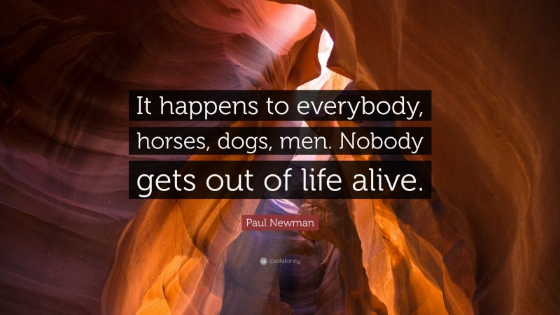 Paul Newman Quote: “It happens to everybody, horses, dogs, men. Nobody gets out of life alive.”