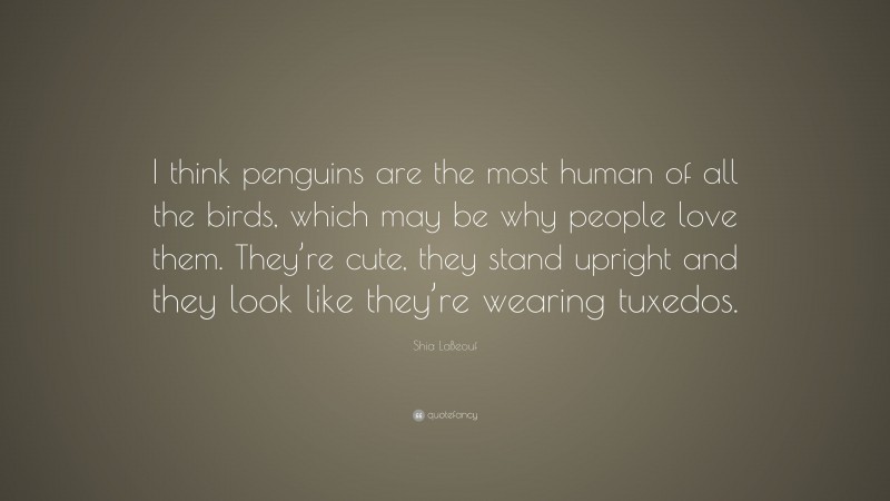 Shia LaBeouf Quote: “I think penguins are the most human of all the birds, which may be why people love them. They’re cute, they stand upright and they look like they’re wearing tuxedos.”