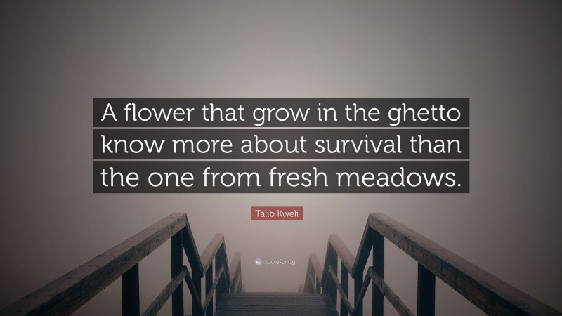 Talib Kweli Quote: “A flower that grow in the ghetto know more about survival than the one from fresh meadows.”