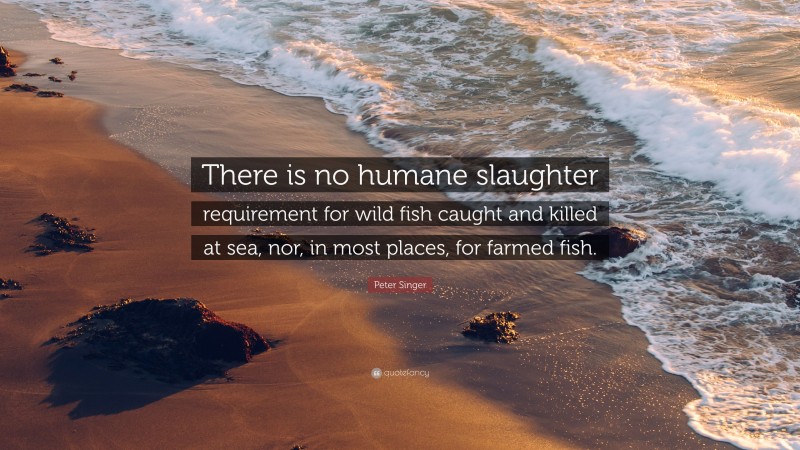 Peter Singer Quote: “There is no humane slaughter requirement for wild fish caught and killed at sea, nor, in most places, for farmed fish.”