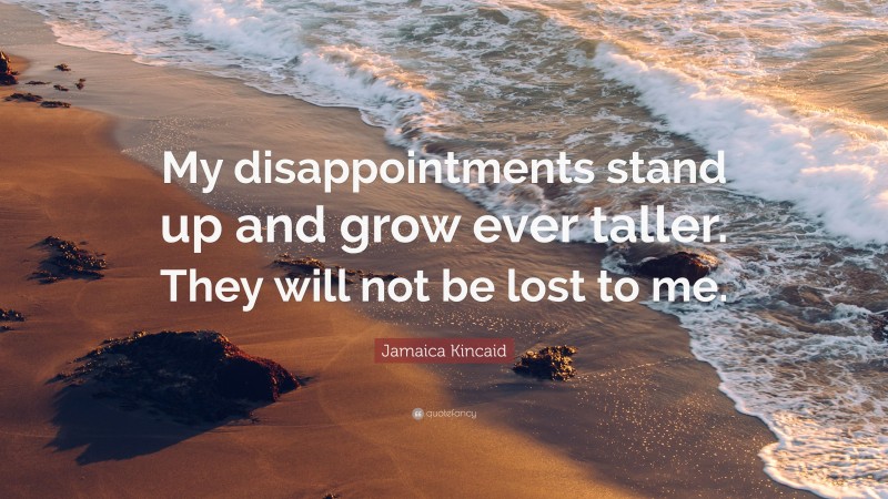 Jamaica Kincaid Quote: “My disappointments stand up and grow ever taller. They will not be lost to me.”
