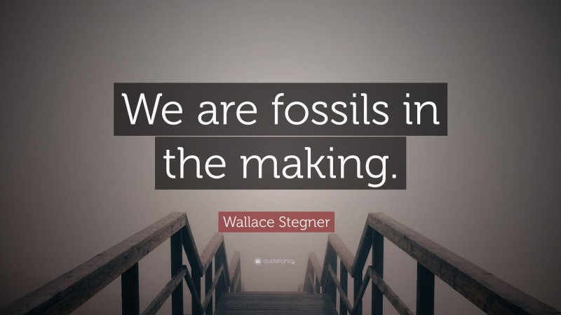 Wallace Stegner Quote: “We are fossils in the making.”