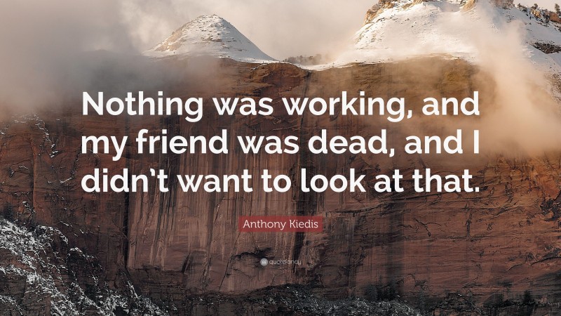 Anthony Kiedis Quote: “Nothing was working, and my friend was dead, and I didn’t want to look at that.”