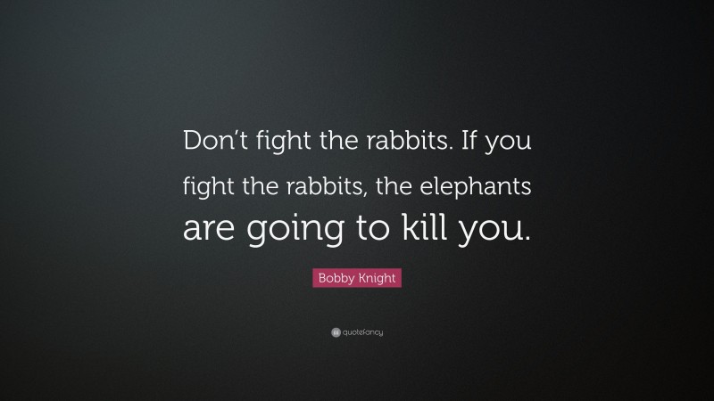 Bobby Knight Quote: “Don’t fight the rabbits. If you fight the rabbits, the elephants are going to kill you.”