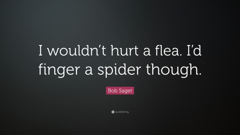 Bob Saget Quote: “I wouldn’t hurt a flea. I’d finger a spider though.”