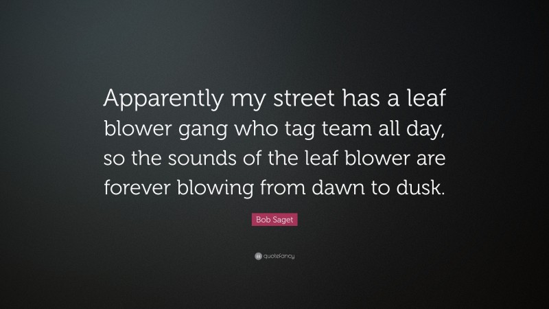 Bob Saget Quote: “Apparently my street has a leaf blower gang who tag team all day, so the sounds of the leaf blower are forever blowing from dawn to dusk.”
