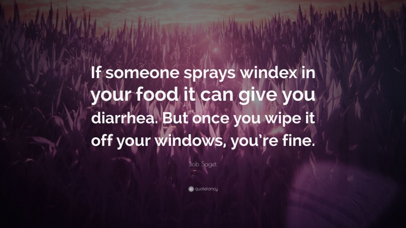 Bob Saget Quote: “If someone sprays windex in your food it can give you diarrhea. But once you wipe it off your windows, you’re fine.”
