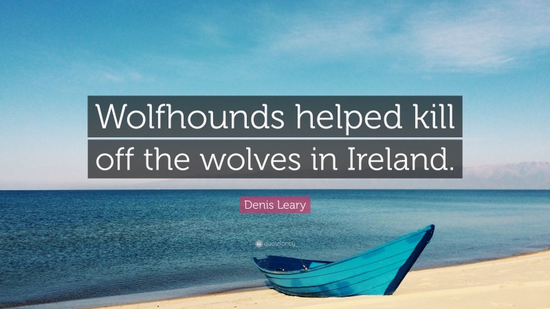 Denis Leary Quote: “Wolfhounds helped kill off the wolves in Ireland.”