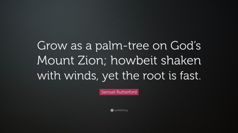 Samuel Rutherford Quote: “Grow as a palm-tree on God’s Mount Zion; howbeit shaken with winds, yet the root is fast.”