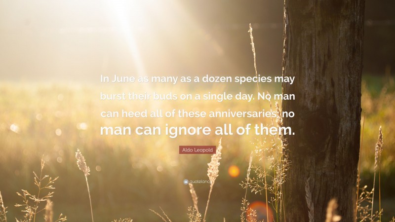 Aldo Leopold Quote: “In June as many as a dozen species may burst their buds on a single day. No man can heed all of these anniversaries; no man can ignore all of them.”