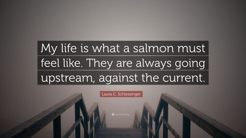 Laura C. Schlessinger Quote: “My life is what a salmon must feel like. They are always going upstream, against the current.”